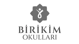 Birikim Koleji